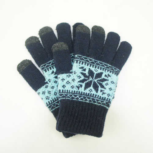 touch gloves