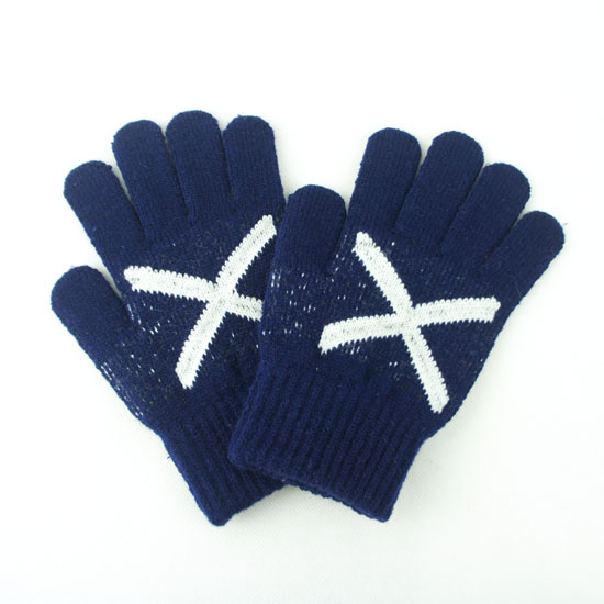 touch gloves
